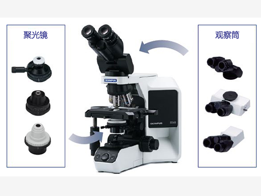 可根據不同的觀察類型進行定制.jpg