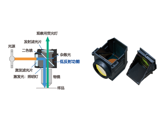 1633669920913822.jpg 針對熒光優化的反射鏡部件 (1).jpg