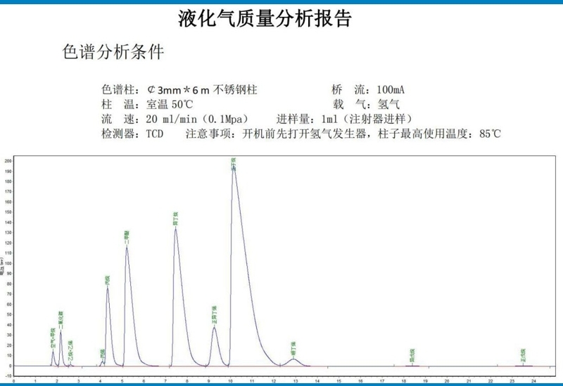 1752051125220666.jpg 液化天然氣成分分析技術參數 (1)(1)(1).jpg