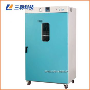 620升300℃立式老化測試烤箱DHG-9620B電熱鼓風干燥箱	