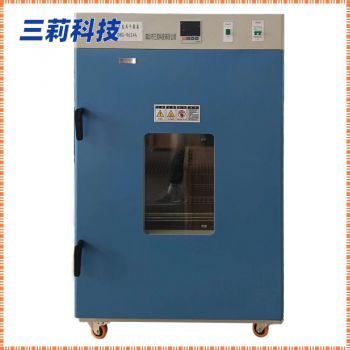 大型高溫老化烘箱 大容量鼓風干燥箱 DHG-9624A鼓風干燥箱